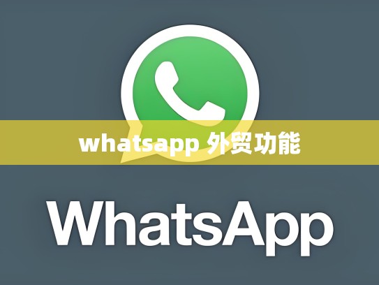 whatsapp 外贸功能