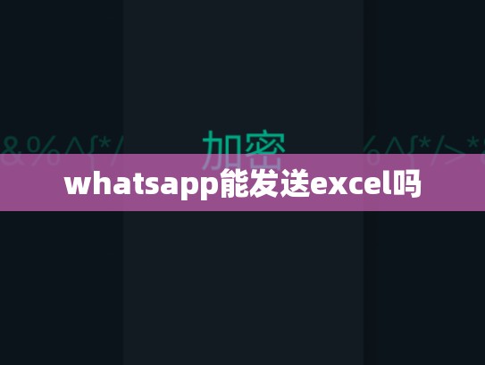 whatsapp能发送excel吗