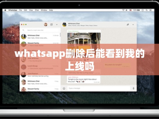 whatsapp删除后能看到我的上线吗