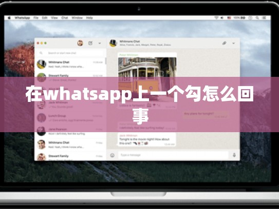 在whatsapp上一个勾怎么回事
