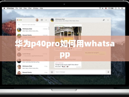 华为p40pro如何用whatsapp