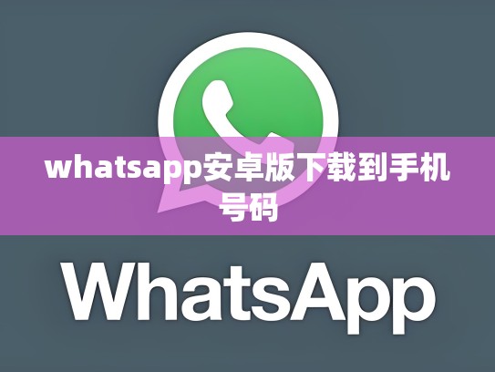 whatsapp安卓版下载到手机号码