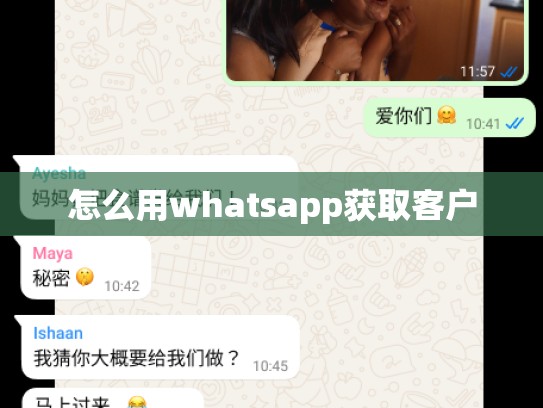 怎么用whatsapp获取客户
