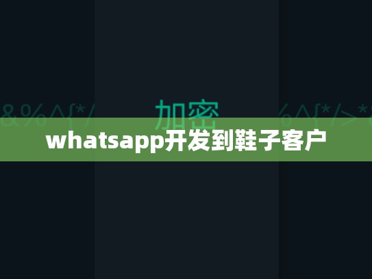 whatsapp开发到鞋子客户