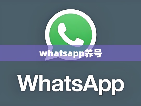 whatsapp养号