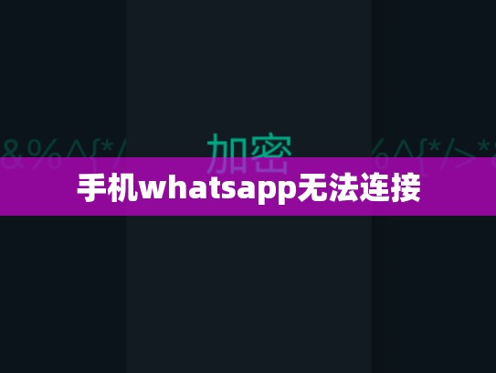 手机whatsapp无法连接