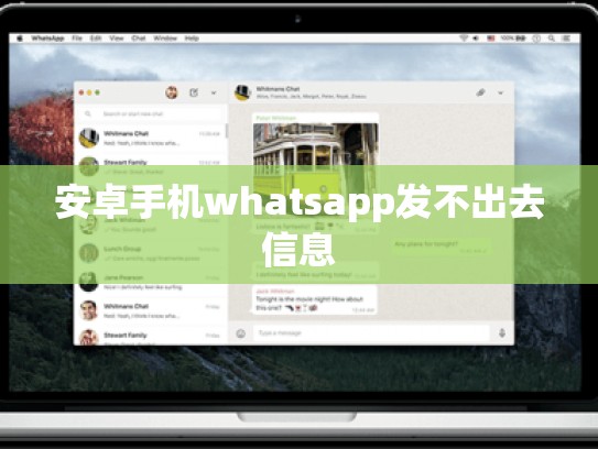 安卓手机whatsapp发不出去信息