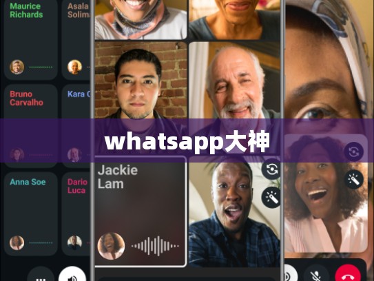 whatsapp大神