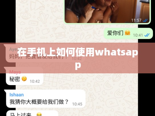 在手机上如何使用whatsapp