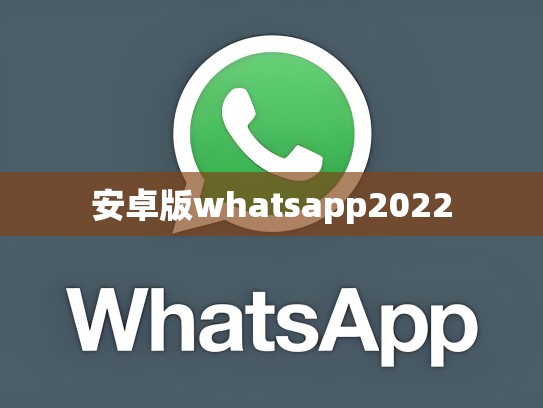 安卓版whatsapp2022
