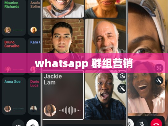 whatsapp 群组营销
