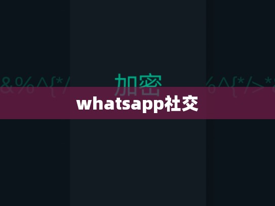 whatsapp社交