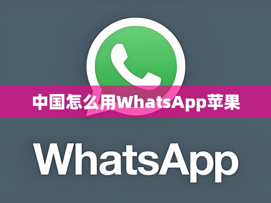 中国怎么用WhatsApp苹果