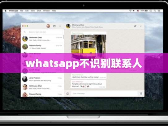 whatsapp不识别联系人