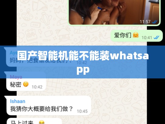 国产智能机能不能装whatsapp