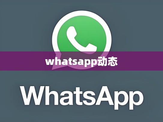 whatsapp动态