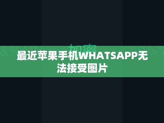 最近苹果手机WHATSAPP无法接受图片