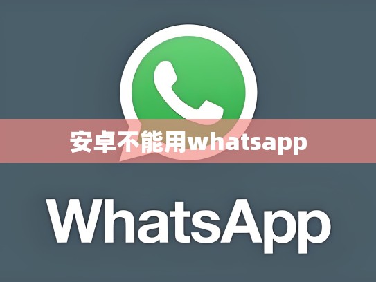 安卓不能用whatsapp
