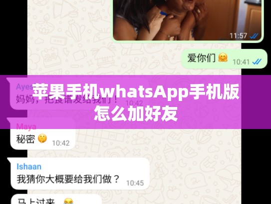 苹果手机whatsApp手机版怎么加好友