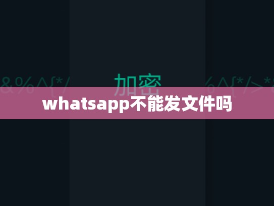 whatsapp不能发文件吗