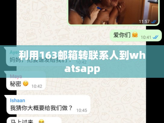 利用163邮箱转联系人到whatsapp