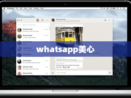 whatsapp美心