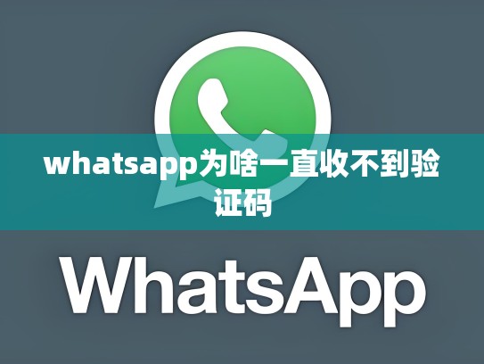 whatsapp为啥一直收不到验证码