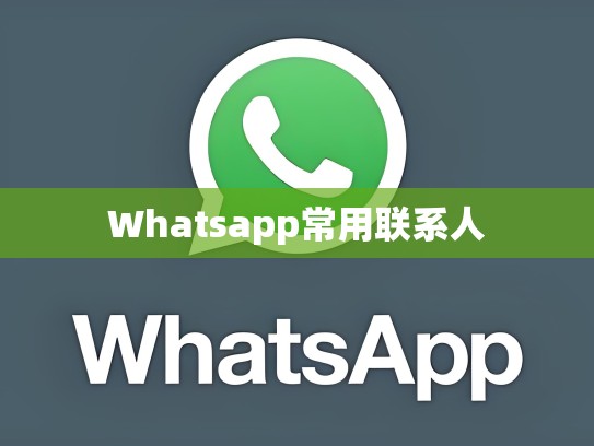 Whatsapp常用联系人