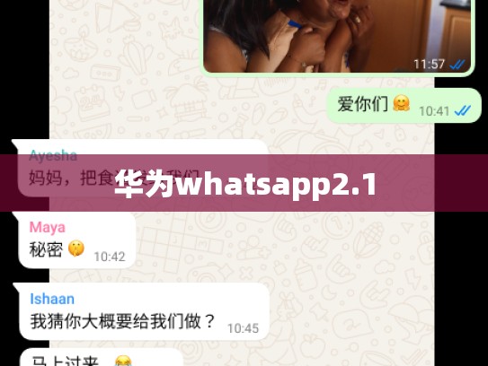 华为whatsapp2.1
