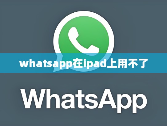 whatsapp在ipad上用不了