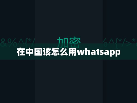 在中国该怎么用whatsapp
