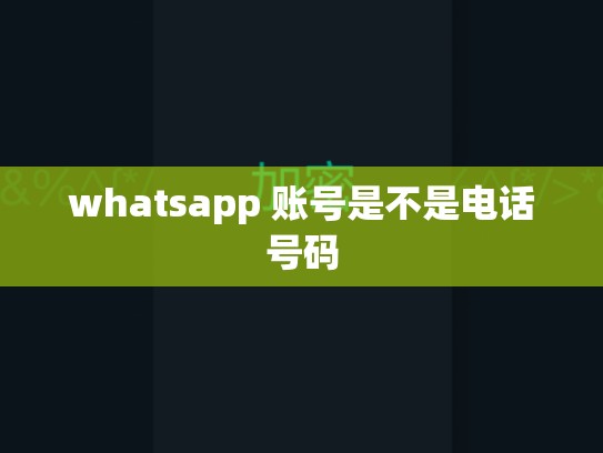 whatsapp 账号是不是电话号码