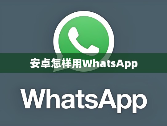 安卓怎样用WhatsApp