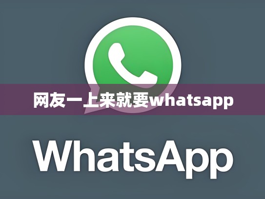 网友一上来就要whatsapp
