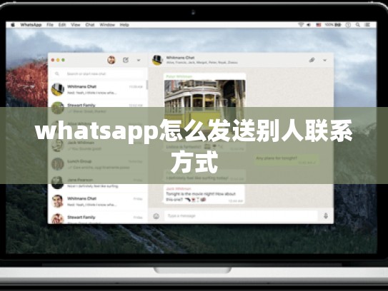 whatsapp怎么发送别人联系方式