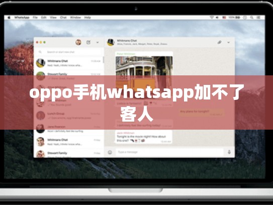 oppo手机whatsapp加不了客人