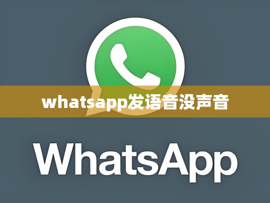 whatsapp发语音没声音