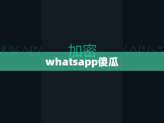 whatsapp傻瓜