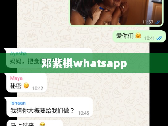 邓紫棋whatsapp