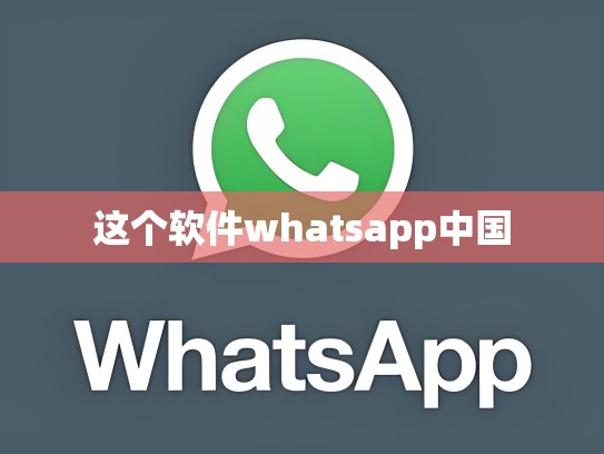 这个软件whatsapp中国