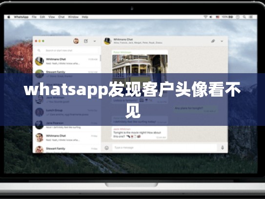 whatsapp发现客户头像看不见