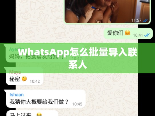 WhatsApp怎么批量导入联系人