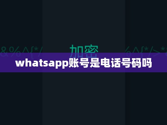 whatsapp账号是电话号码吗