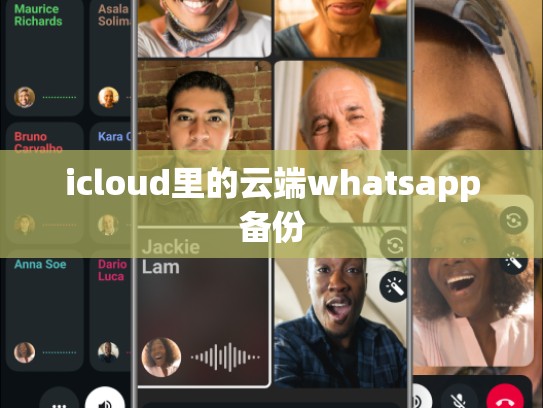icloud里的云端whatsapp备份