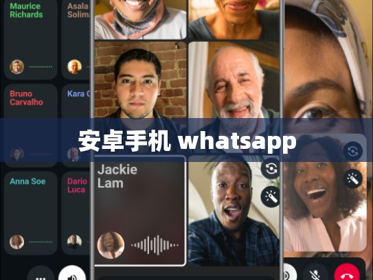 安卓手机 whatsapp