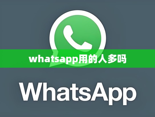 whatsapp用的人多吗