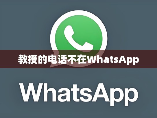 教授的电话不在WhatsApp
