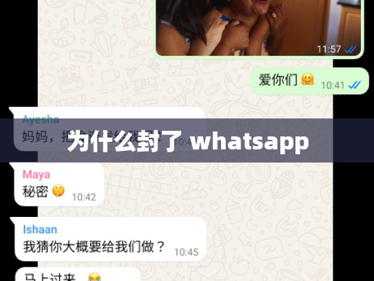为什么封了 whatsapp