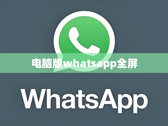 电脑版whatsapp全屏