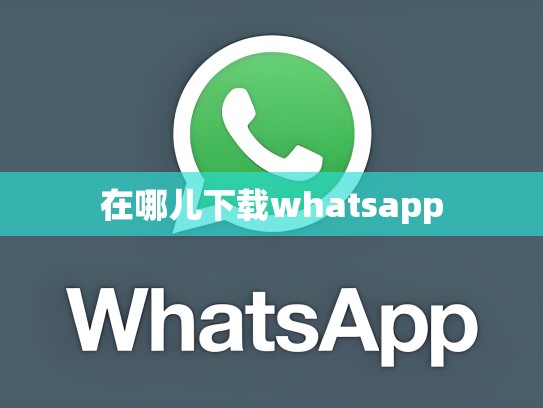 在哪儿下载whatsapp